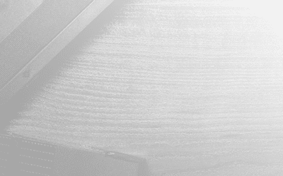 Managed Dealer Inventory Program